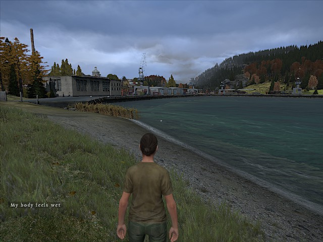 dayz