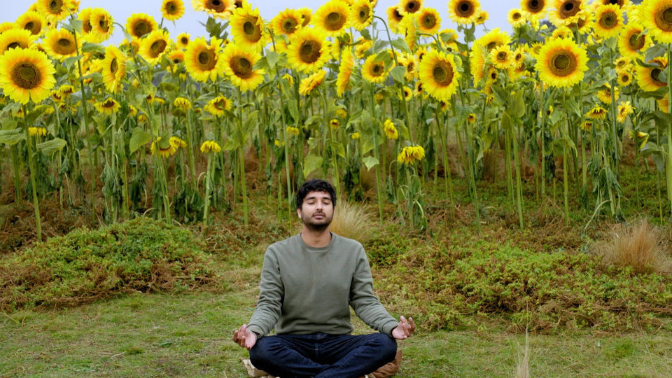 Scott sits in a meditative position in a green field with tall sunflowers that fill the entire screen, directly behind him.